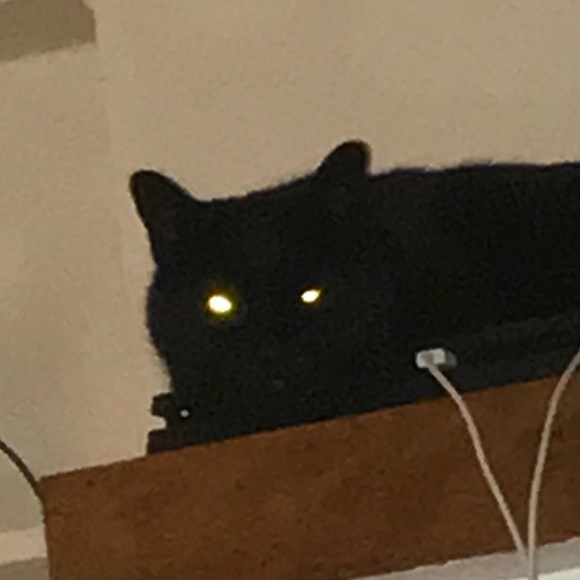 Meet your Posher, Regina - Picture 1 of 1